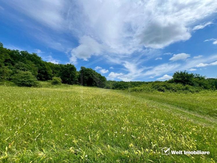 Oportunitate investitie, teren cu panorama pentru cabane - 5