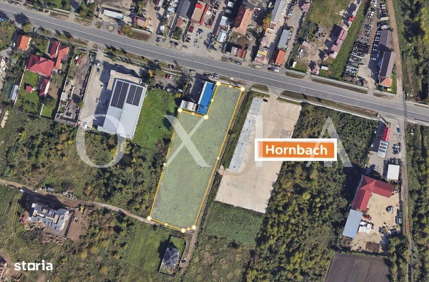 OX698 Oportunitate Investitie , 8036 MP, Buziasului-Hornbach. - 4