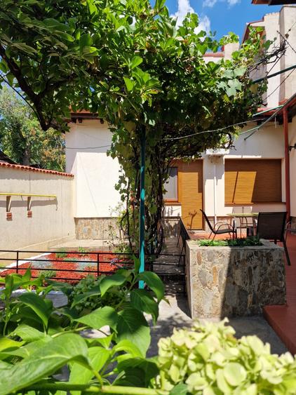 Dacia -  Eminescu - Vasile Lascar - vila cu  4 camere - renovata 2025 - gradina - 15