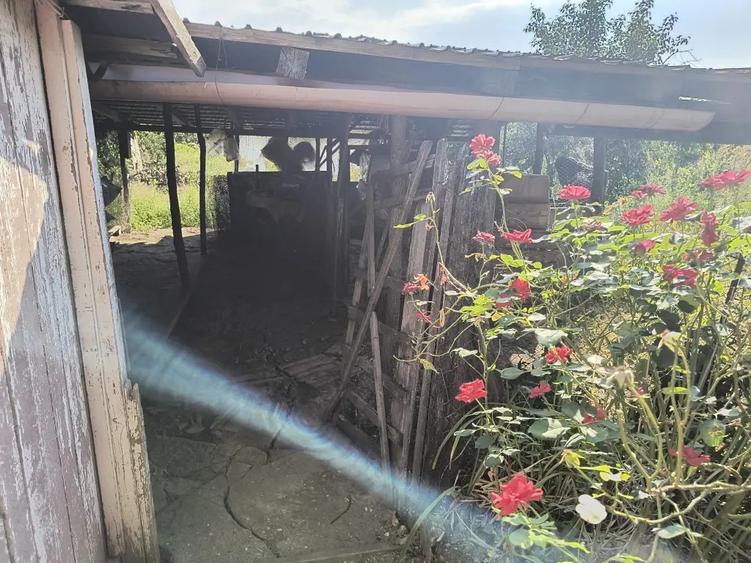 Casă cu 2 camere în Radovan