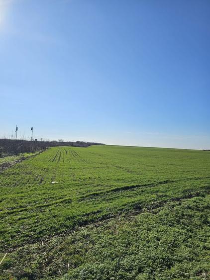 Teren agricol extravilan de 8632 mp, în Livada de Bihor