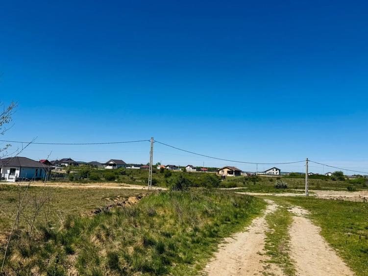 Teren Construcții intravilan de 3800 mp, în Alparea