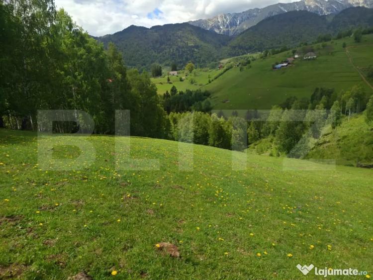 Casă cu 1 camere cu Teren 1093 Mp în Peștera