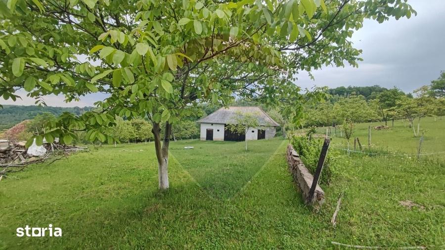 Casă cu 4 camere cu Teren 11769 Mp în Bulz