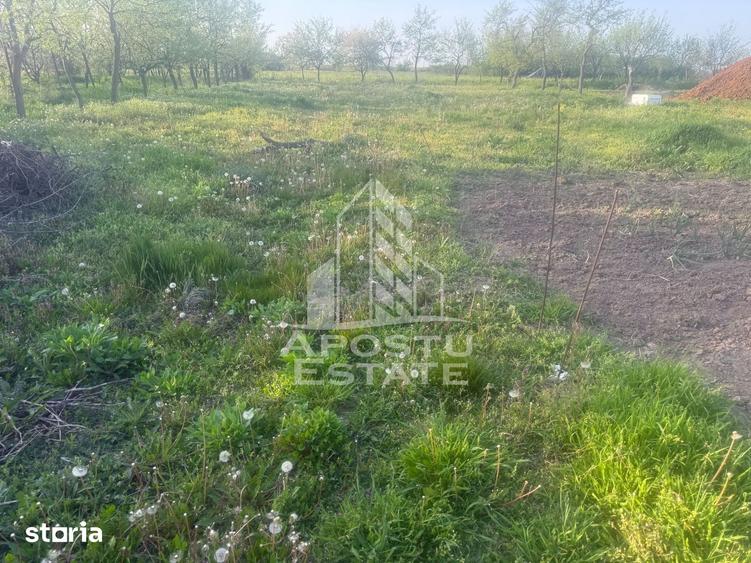 Casă cu 3 camere cu Teren 1439 Mp în Remetea Mare