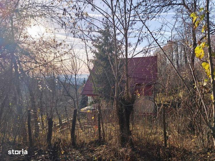 Teren intravilan Breaza 4,000mp cu utilitati. Panorama. Intimitate. - 5
