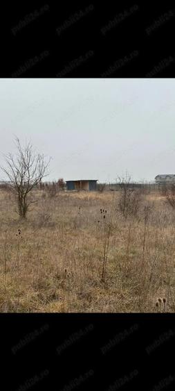 Teren Mo?ni?a Noua -Urseni de vanzare - 6