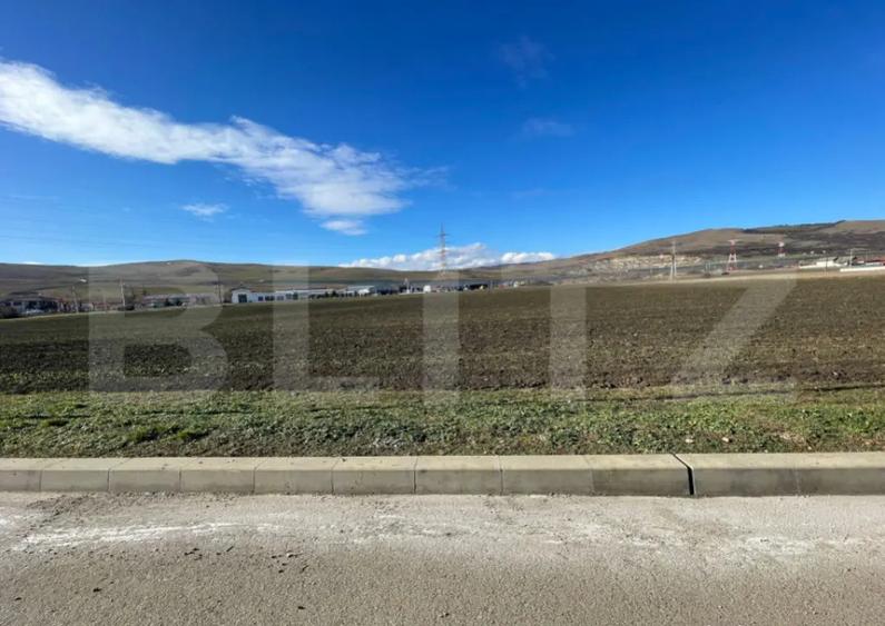 Teren de vanzare 11.600 mp Santimbru - 2