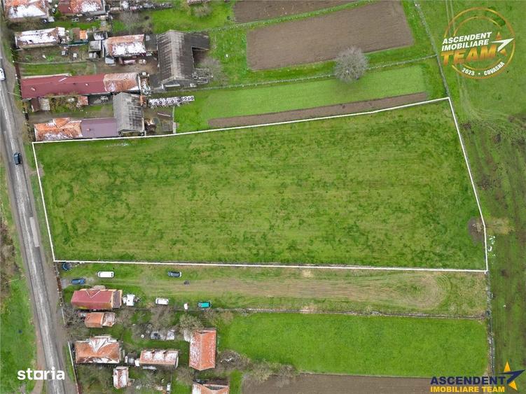 FILM!Potential rezidential investitional: 8.000 mp intravilan construi - 5