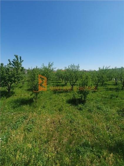 EXCLUSIVITATE! Casa cu teren zona Parscov - 23