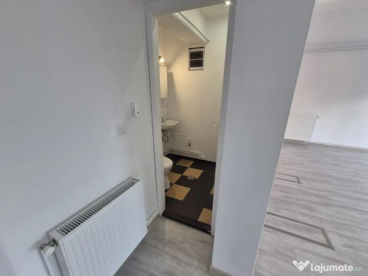 Inchiriez spatiu comercial zona Calea Dumbravii - 5