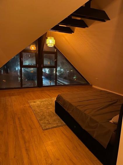 De Inchiriat | Vila 6 Camere | Matei Millo - 8