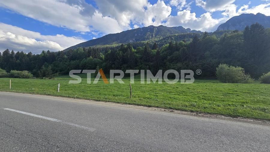 Teren intravilan Zarnesti Plaiul Foii - 19