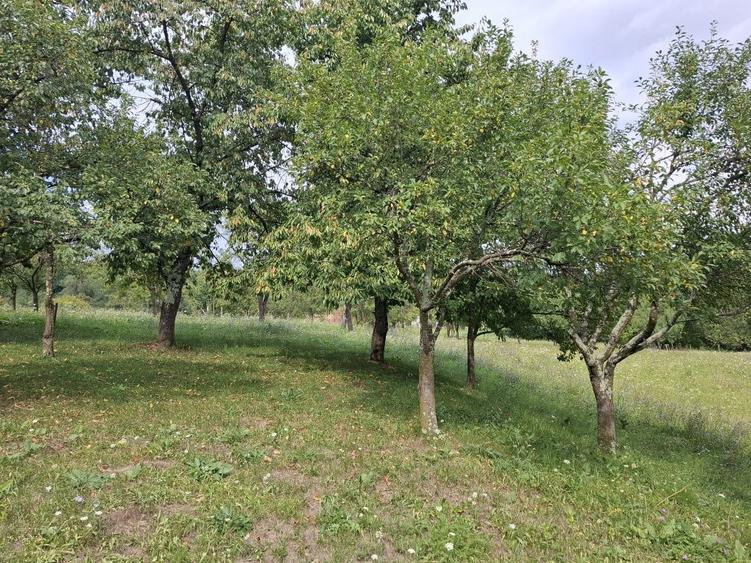 Teren intravilan Fetindia jud Salaj - 4