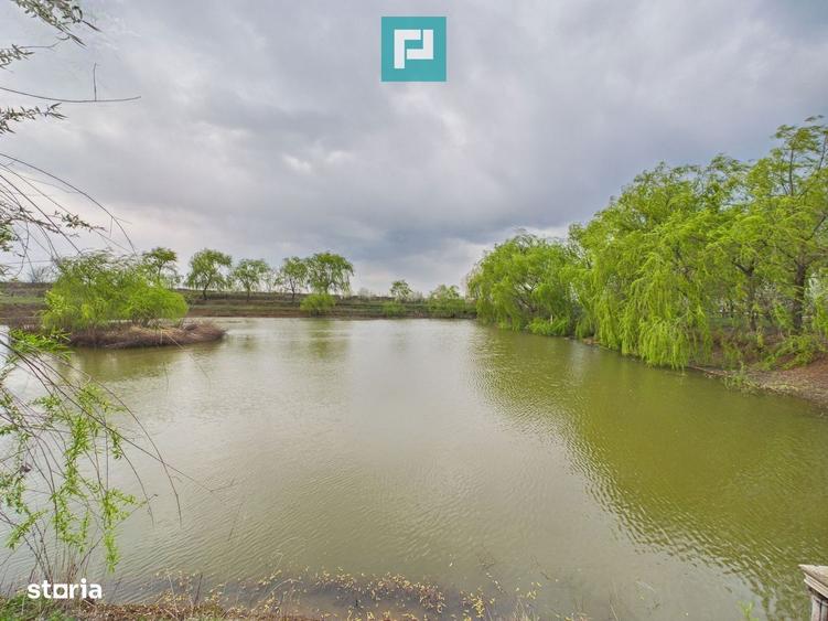 Teren 1 ha cu balta populata Alios (Masloc) - 1