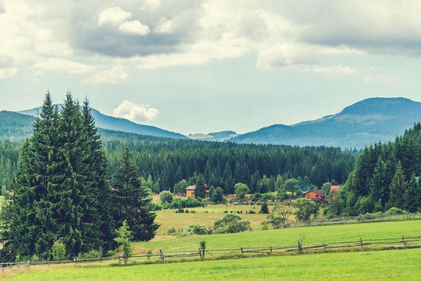 Vand parcele teren - Doda Pilii - Jud Cluj - 3