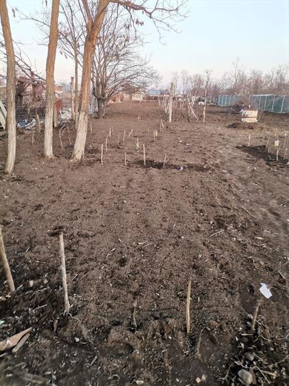 Vand casa posibilitate rate - 5