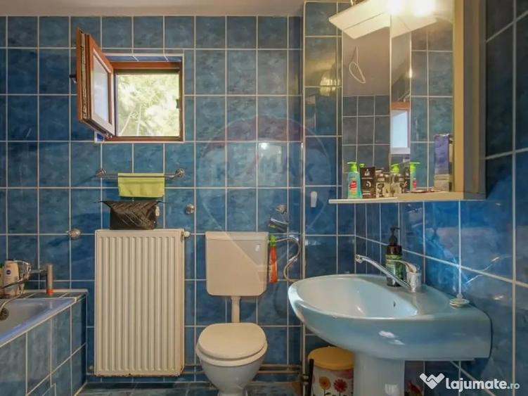 CASA 3 CAMERE CU 86 MP, BECI, POD SI CURTE | ZONA SCHEI - 12