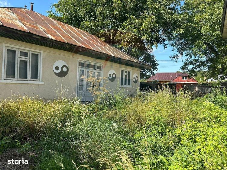 Teren intravilan 3.765 mp cu casa Bodesti de Jos - 8
