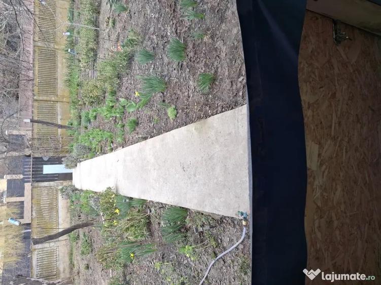 De vanzare casa in Traian ,Teleorman - 10