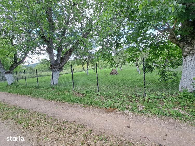 Teren (2400mp)de vanzare in Galda de Jos- Benic - 2