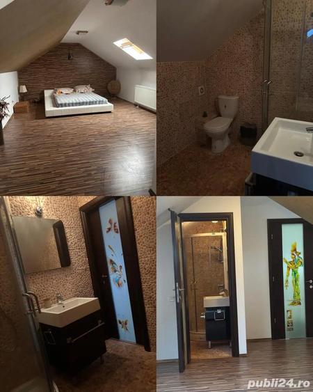 Vila deosebita de vanzare Pitesti Cartier Trivale Langa padure 2 min de Schitul din Trivale - 1