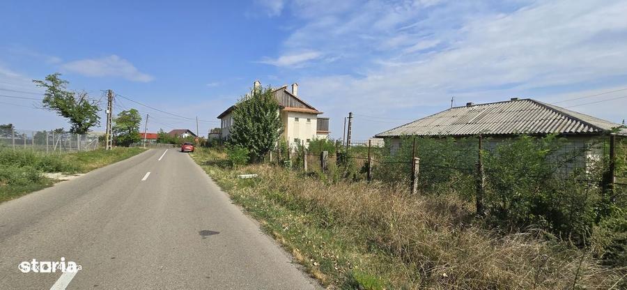 Constructii la strada in Cucorani pe 1 ha de teren - 6