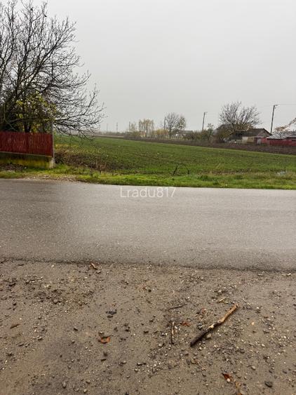 Teren 600 mp Darza Buftea