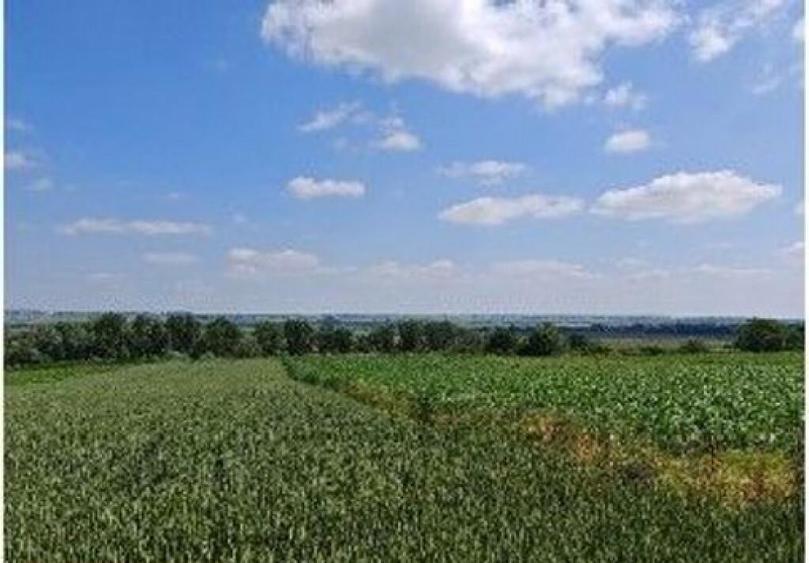 Teren extravilan Bosanci, ID: R2649420 - 13