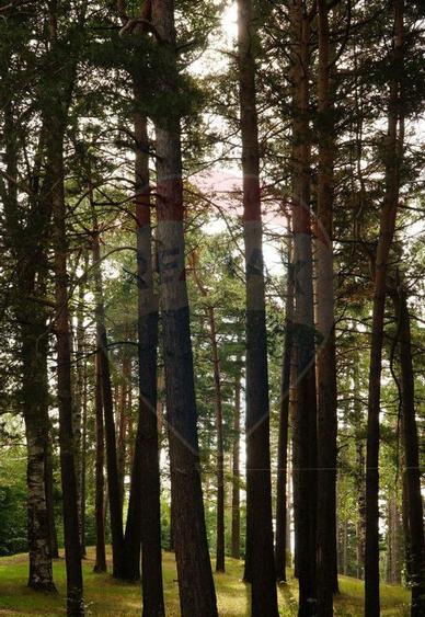 DE VANZARE Pensiune | 12 camere | Bisoca / Buzau - 12