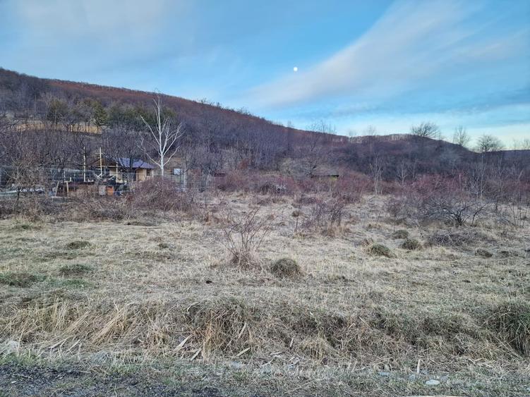 Teren intravilan 4640 mp, Piatra Neamt - 2