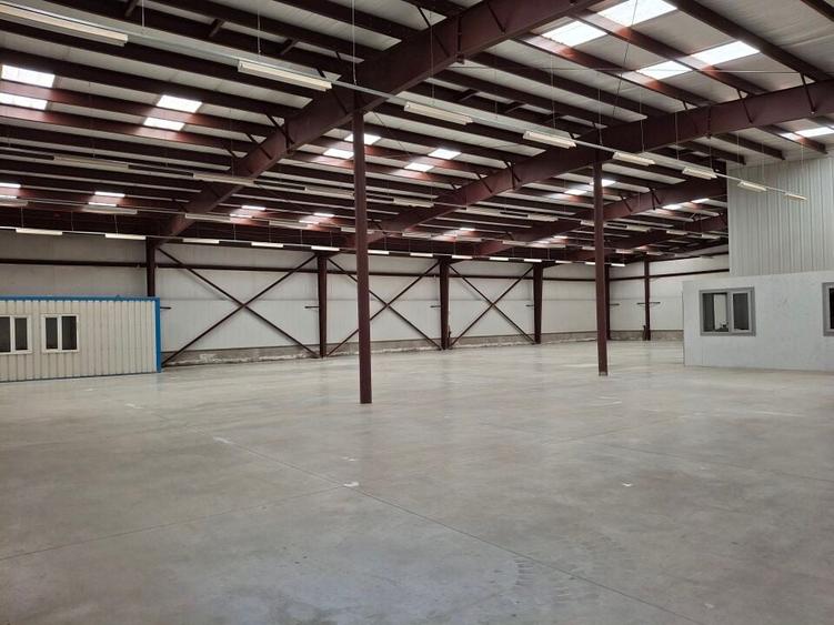 Hala productie /depozitare si birouri Branesti - Makita - 11