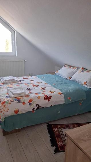 vand casa pensiune - 5