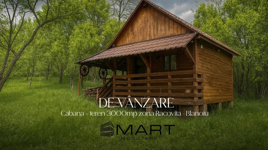 Teren intravilan 3102mp zona Racovita-Blanoiu - 1