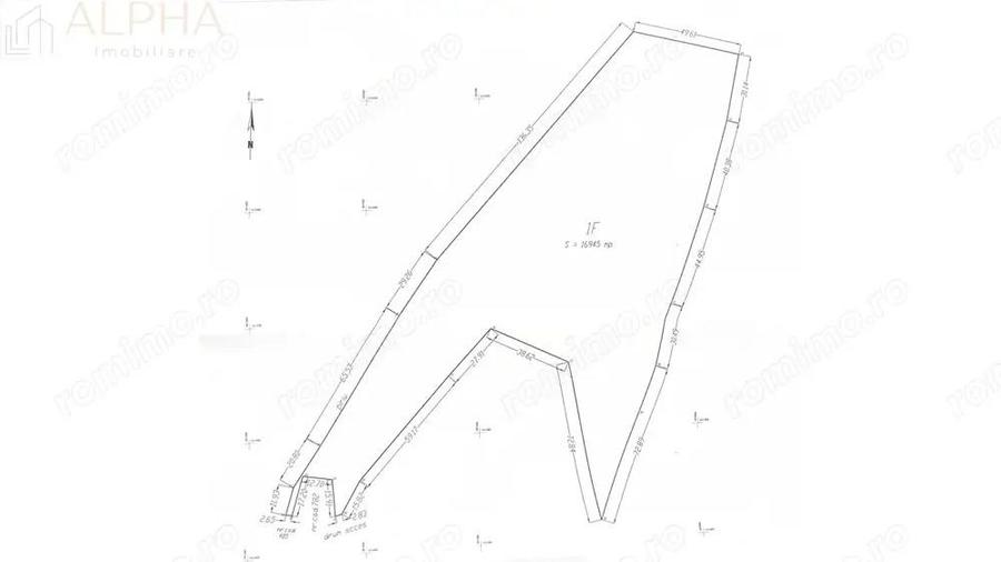 Teren Intravilan de 1.7 Hectare in Colibita - 3