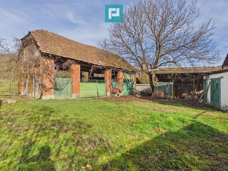 Casa din caramida si teren 1316 mp - Savarsin - 3