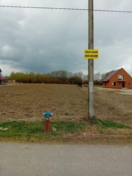 1853 mp la 14 km de Brașov în Lunca Calnicului  - 1