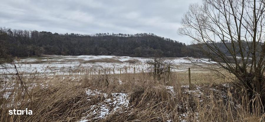 De vanzare 1.7ha teren- 6 euro/mp - 4