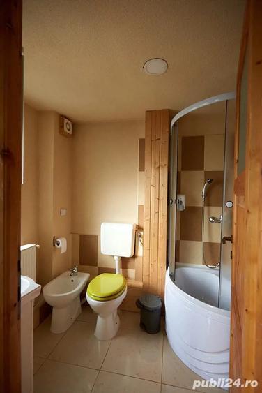 Casa De Vanzare cu parter, mansarda, beci boltit tip crama ?i ?ura amenajata foarte spa?ioasa - 7