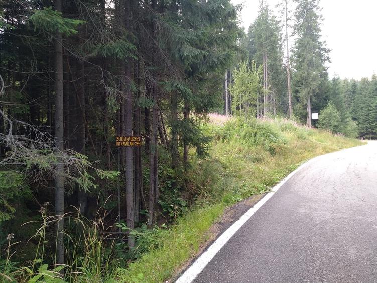 Zona Puru, lac Vidra, Voineasa, jud. Valcea - 4