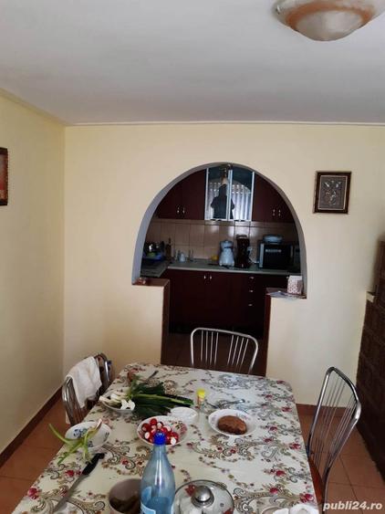 Casa cu 16 incaperi+pivnita +crama,curte,gradina, livada si vita de vie, in suprafata de 5800 m.p. - 4