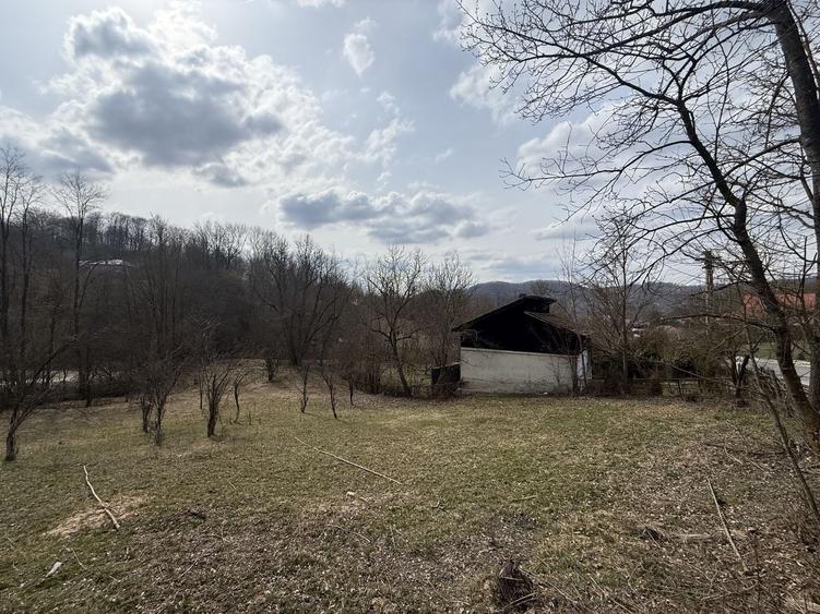 Teren intravilan la asfalt 2100 mp deschidere 21 mp la asfalt! - 3