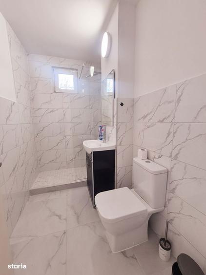 Apartament cu 2 camere, complet renovat, zona Precista - 6