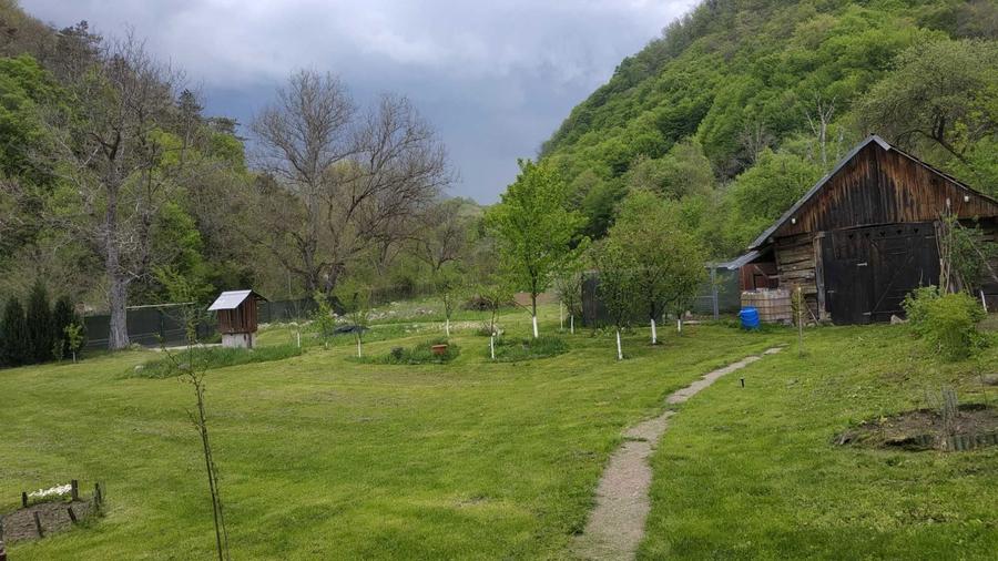 Vand casa in Hartagani - 3