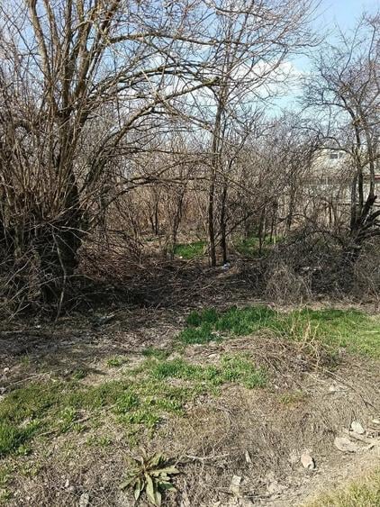 Teren de 1038 mp, în Măxineni
