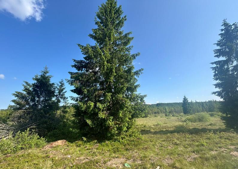 Teren Belis 1000mp - 2