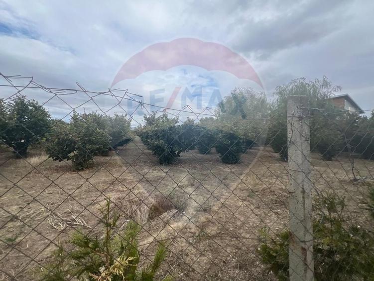Teren 1,300mp Campineanca / Strada Din str Hotarului - 5