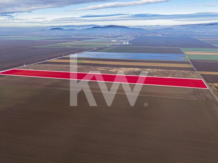 Teren exceptional pentru investitii industriale langa Brasov - 3