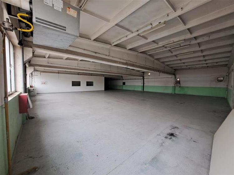 Spatiu industrial, 1500 mp utili, P+E, situat in zona Corneliu Coposu! - 3