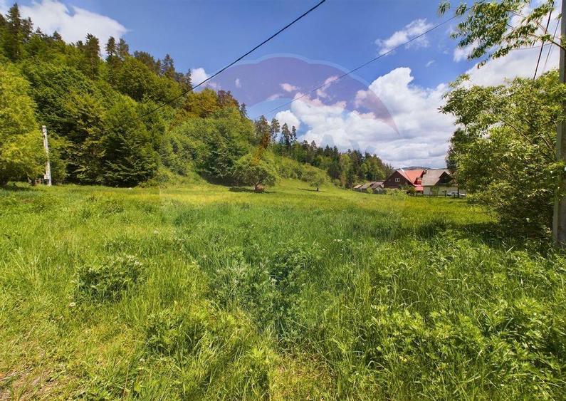 Comision 0%! Proprietate in natura, priveliste superba, S... - 2